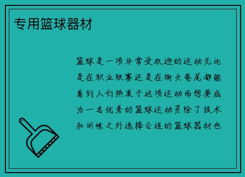 专用篮球器材