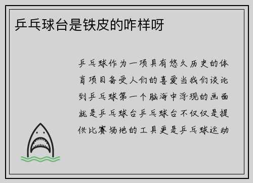 乒乓球台是铁皮的咋样呀